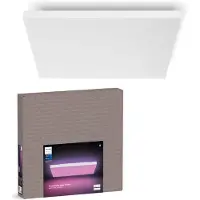 Philips Hue White & Color Ambiance Datura Kattovalaisin