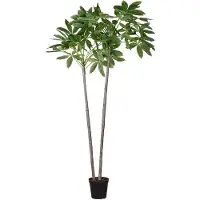 Mr Plant , Pachira puu ruukussa 270 cm