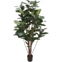 Mr Plant Ficus Robusta 180 cm