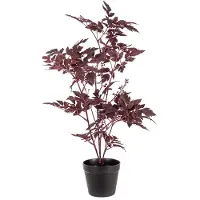 Mr Plant Silverax ruukkukasvi 75 cm