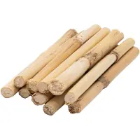 Colorations - Short Bamboo Sticks 10-12cm 10 pcs.