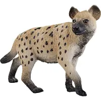MOJO Wildlife Hyena