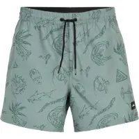 O'Neill Mix & Match Cali Print 15'' Surffishortsit green vintage surfer Koko S