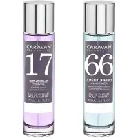 Caravan Nº66 & Nº17 Hajuvesi