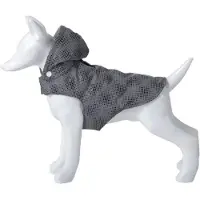 Freedog Flash Koiran Takki