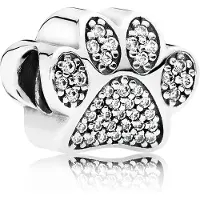 Pandora Sparkling tassunjälki hela 791714CZ