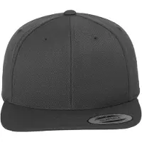 Flexfit Classic Snapback Lippis