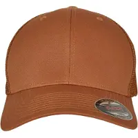 Flexfit Mesh Trucker Lippis