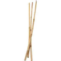Colorations - Bamboo sticks 50cm 3 pcs.