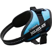 JULIUS K-9 Idc Power Mini Koiran Valjaat