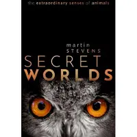 Secret Worlds