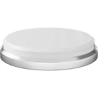 HORL Whetstone Extra Fine S5-HO3-P ceramic sharpening disc, 6000 grit