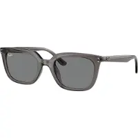 Ray-Ban - RB4439D 667587 5421