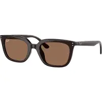 Ray-Ban - RB4439D 623173 5421