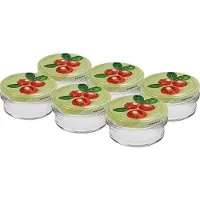 Hobby Hall Lasipurkki kierrekorkilla TO fi66 65ml - 6 kpl