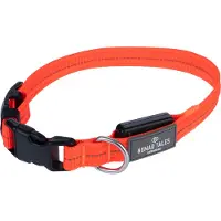 Nomad Tales Spirit USB LED -nailonkaulapanta oranssi M 36–51cm koira