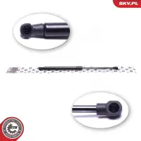 ESEN SKV Kaasujousi, tavaratila 52SKV813