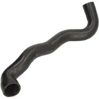 THERMOTEC Jäähdyttimen letku DWM080TT