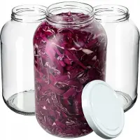 Hobby Hall 4x Jar Lasipurkki 4L Purkit kurkkutinktuureille + Korkit Fi100