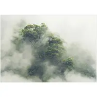 Kärkkäinen Artgeist Foggy Amazon fototapetti