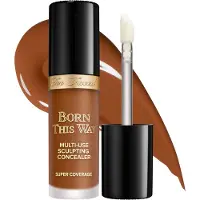 Too Faced Born This Way Super Coverage Concealer Chestnut