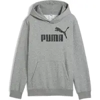 Puma Ess No. 1 Logo Hoodie Fl B - Grey - 140