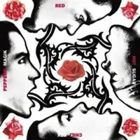 Warner Music - Blood Sugar Sex Magik (LP)
