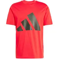 Adidas Essentials Big Logo Lyhythihainen T-paita