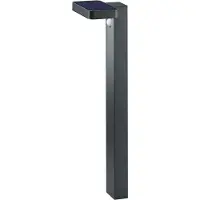 TRIO Esquel LED aurinkokennopylväsvalaisin 60cm 4,5W antrasiitti liiketunnistimella