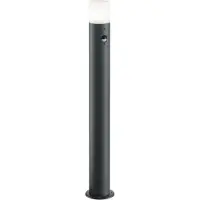 TRIO Pollarivalaisin Trio Hoosic Ø120x800 mm antrasiitti liiketunnistin