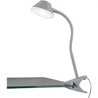 TRIO Berry LED klipsuvalaisin 26cm 3000K 3,5cm harmaa