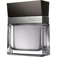GUESS Seductive Homme, EdT 100ml