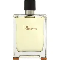 Hermès Paris Terre D'Hermès, Parfum 75ml