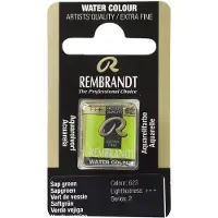 Rembrandt akvarelli 623 Sap Green - 1/2 nappi