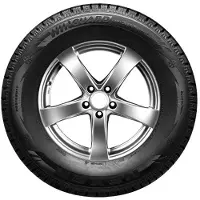 Nexen 205/65R16 C WINSPIKE LT 107/105R (124 nastaa)