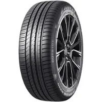 Winrun R330 EV W-SILENT 205/55R16 94W XL RP