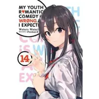 Little, Brown and Company My Youth Romantic Comedy Is Wrong, As I Expected, Vol. 14 (light novel)