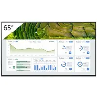 Sony 65" FW-65BZ30L 24/7 440 nits Signage