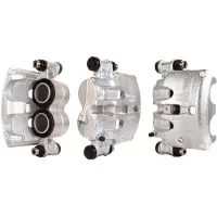 DRI Jarrusatula 3182610