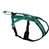Non-Stop Dogwear Rush Harness Teal Koirien valjaat ja kaulapannat 3