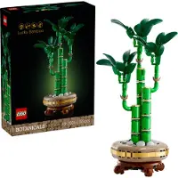LEGO Botanicals Onnenbambu 10344