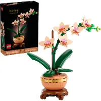 LEGO 10343 Botanicals Miniorkidea