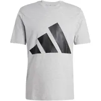 Adidas Essentials Big Logo Lyhythihainen T-paita