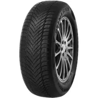 Minerva Kustannus Oy Frostrack HP 145/60R13 66T 3PMSF