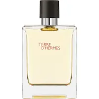 Hermès Paris Terre d'Hermès, Eau de Toilette 100ml
