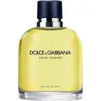 Dolce&Gabbana Pour Homme, EdT 75ml