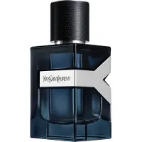 Yves Saint Laurent Y Intense, EdP 60ml