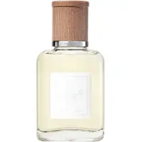 Ralph Lauren Polo Earth Antilles Vetiver, EdT 40ml
