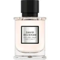 David Beckham Follow Your Instinct, EdP 50ml