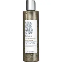 Briogeo Scalp Revival MegaStrength+ Dandruff Relief Shampoo Charcoal + AHA/BHA, 248ml